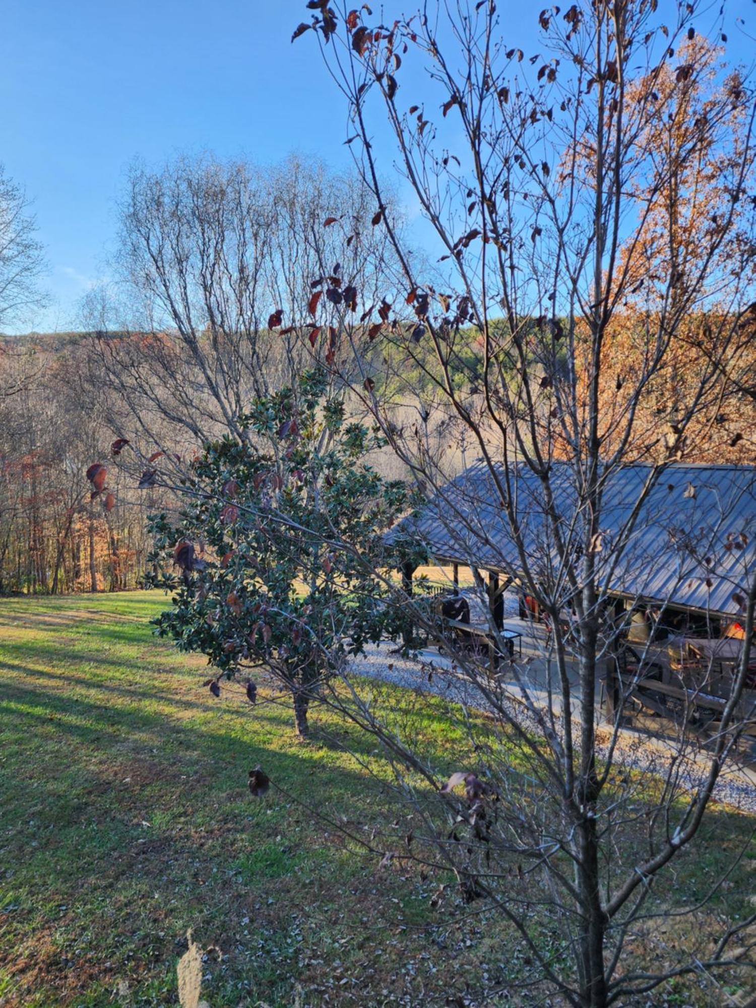 Lodge At Tellico Tellico Plains Exterior foto